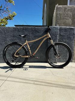 2020 Co-Op DRT 2.1 Mountain Bike (Large)
