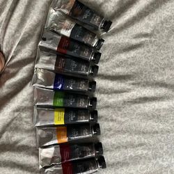 Professional Oil Paints.