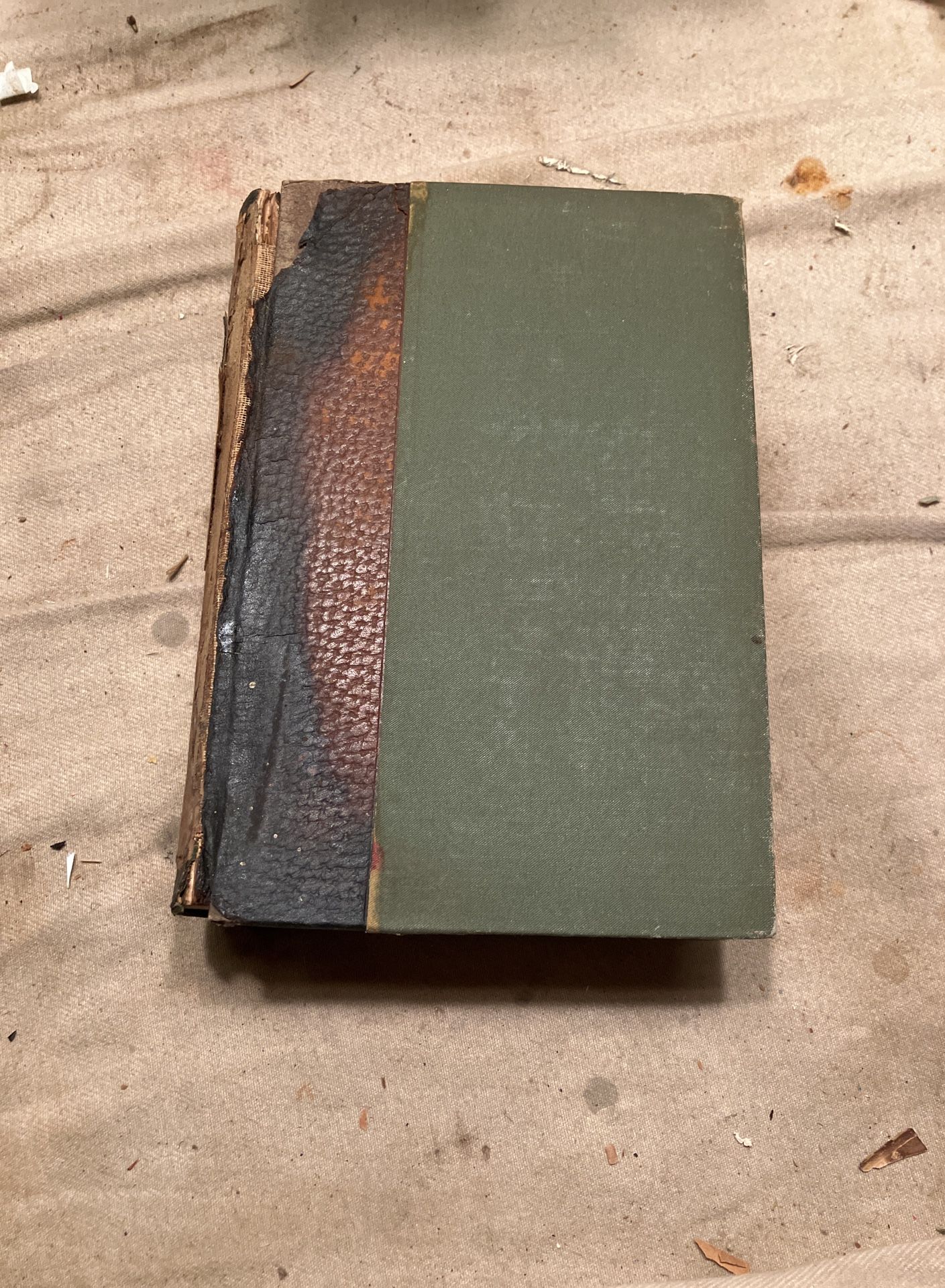 Vintage Antique Book The Origin Of Species, Charles Darwin ESTES And LAURIAT