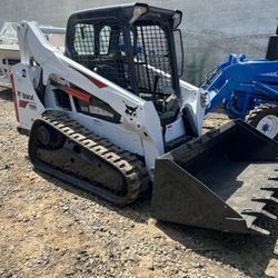 Bobcat