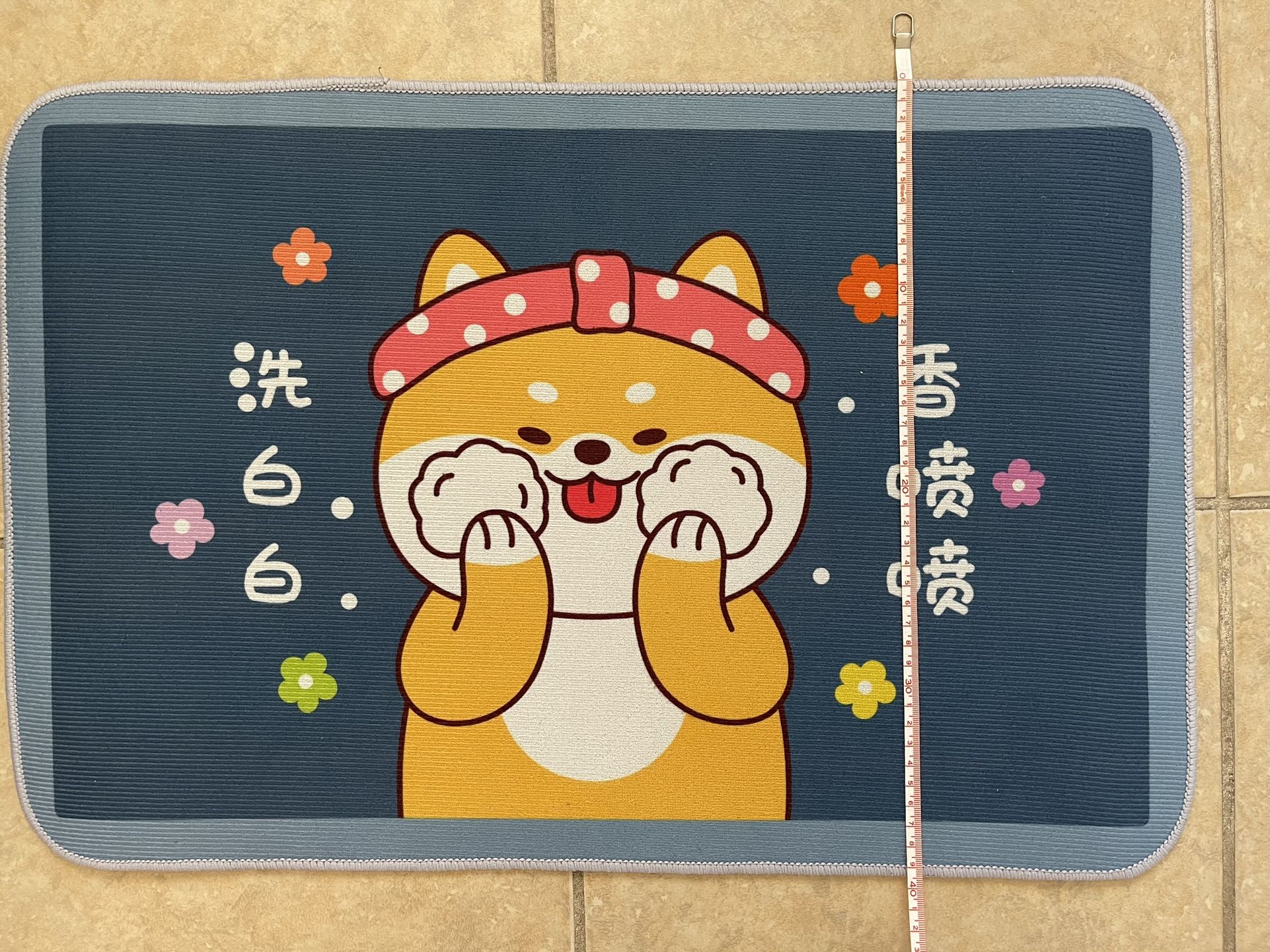 door mat 2 for $18