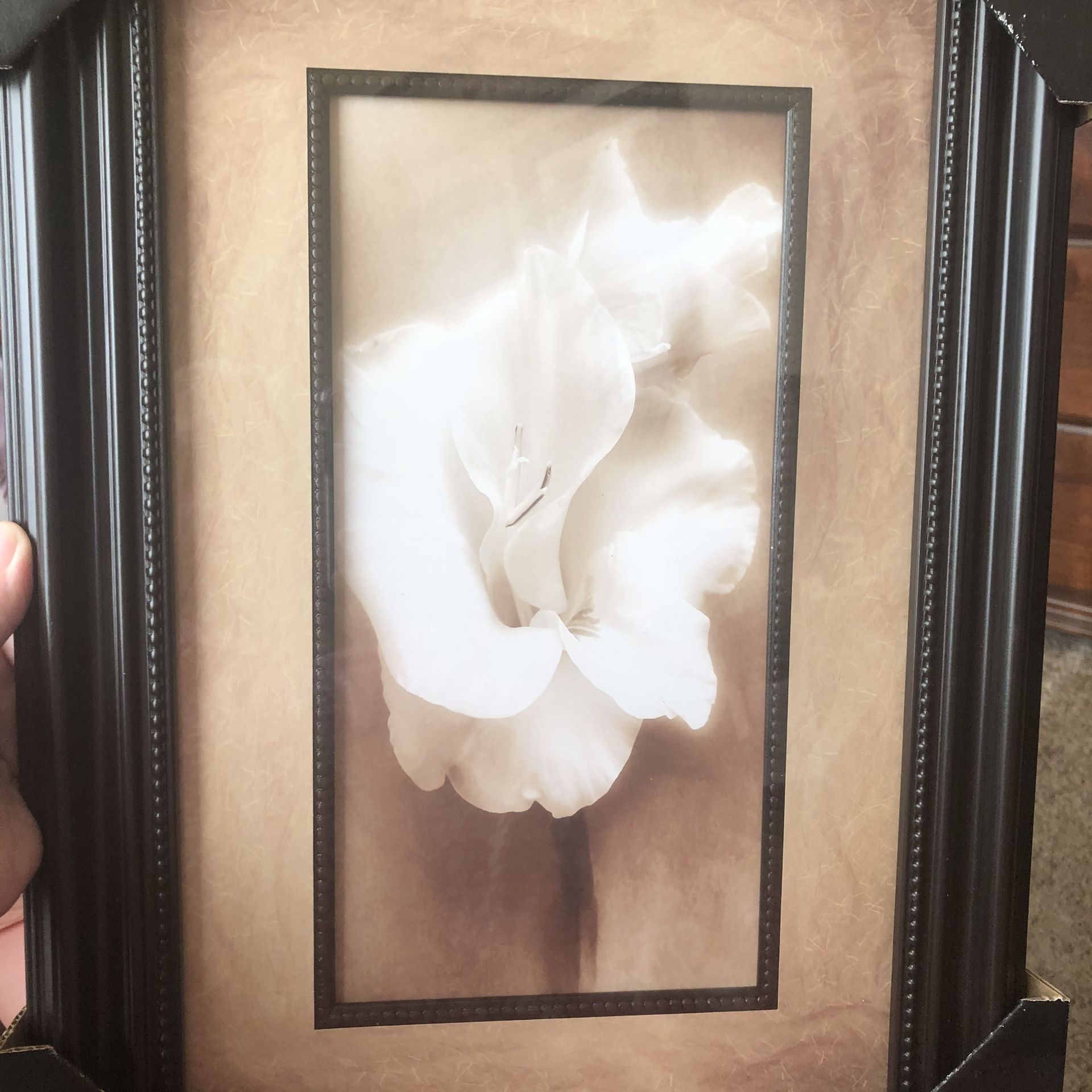 White iris print double matted in dark wood frame in original packaging never used