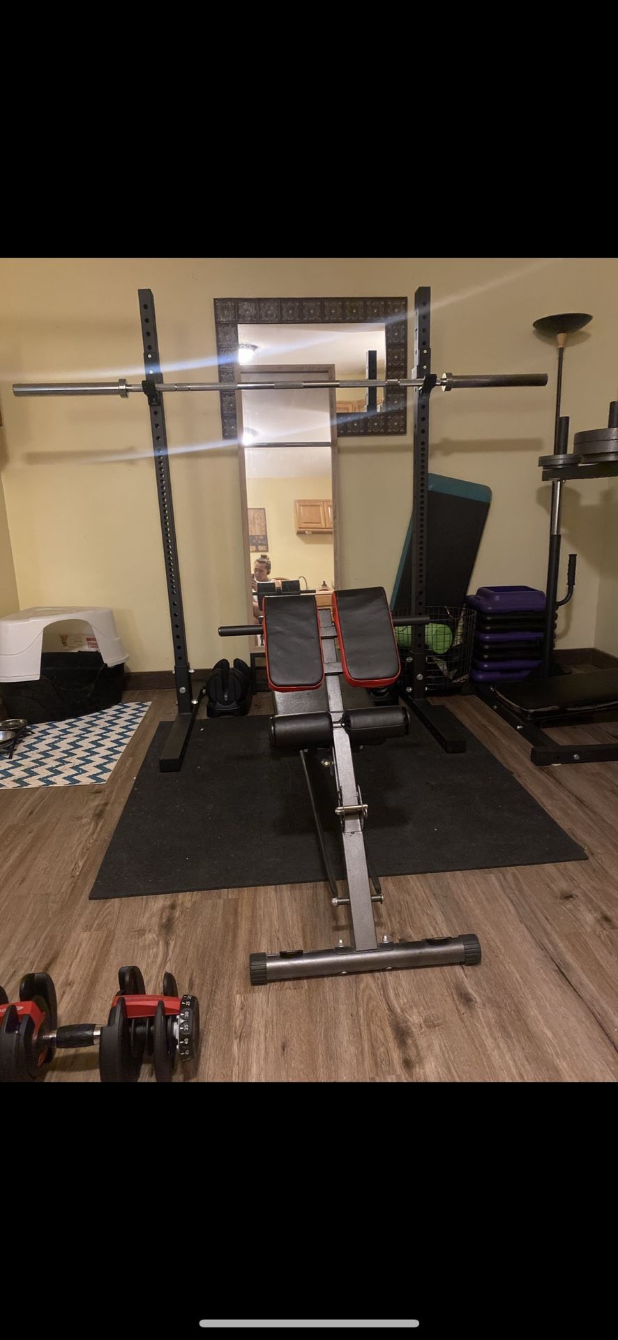 Titan Barbell, Squat Rack And 2 45 Pound Bumper Plates