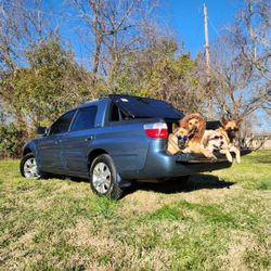 2005 Subaru Baja