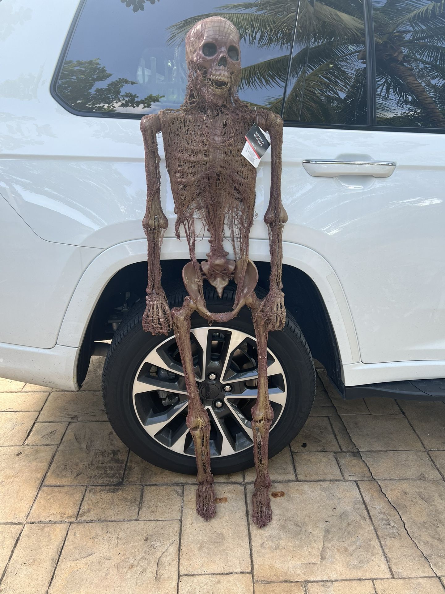 Rotty Scotty Life-Size Halloween Skeleton