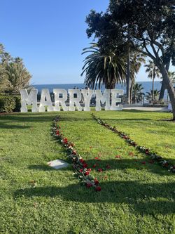 Marquee Letters & Numbers 