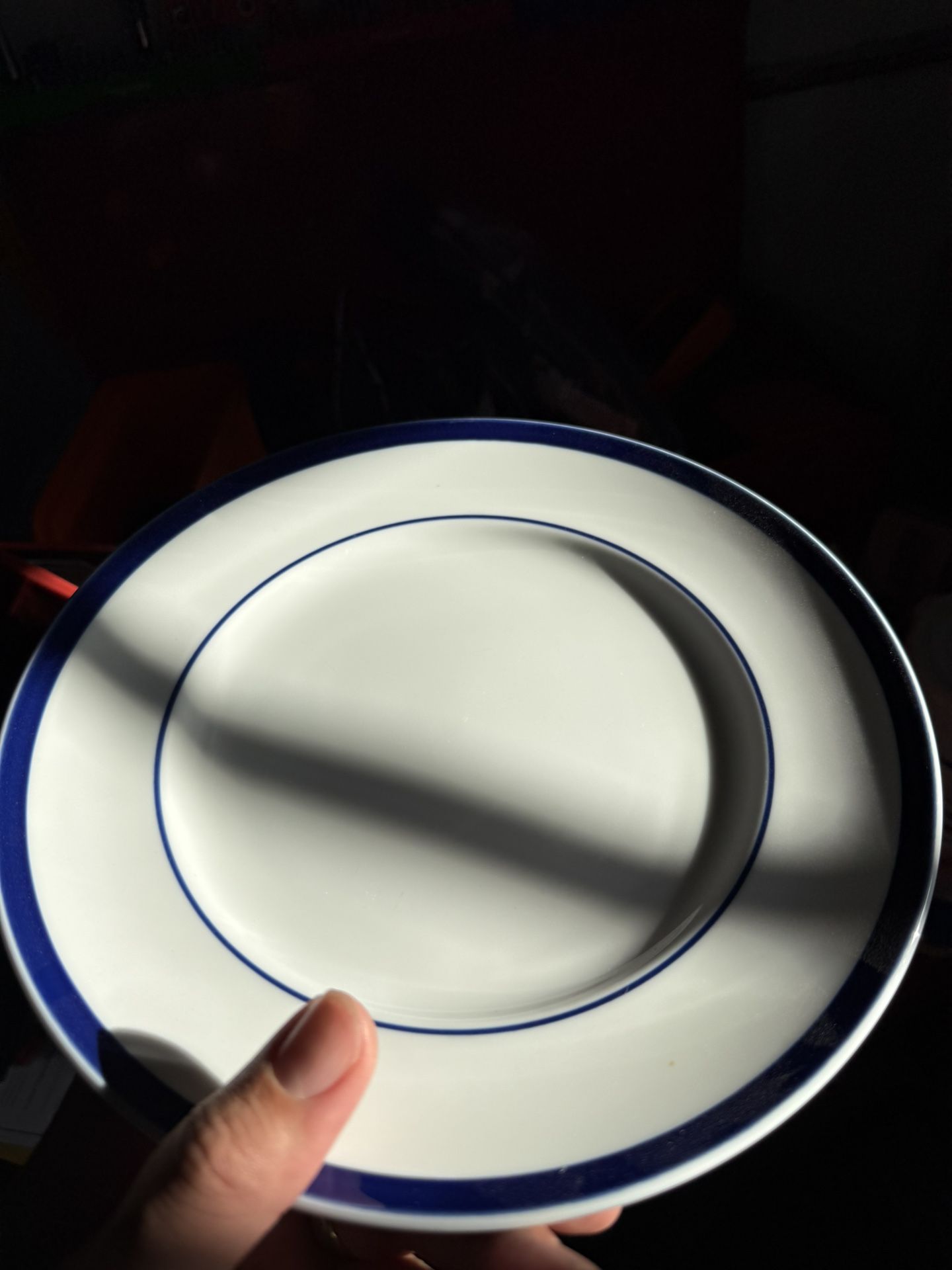 Plates With Blue Bands 