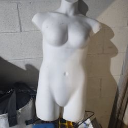 Female Mannequin Upper Torso