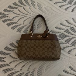Coach Mini Brooke Cary all in Signature Canvas