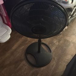 Fan