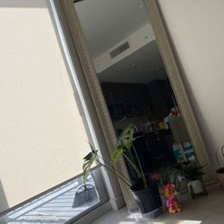 6 Foot Mirror