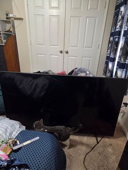 Large Flat Screen TV