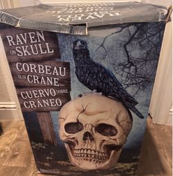 Raven on Skull Halloween Decoration