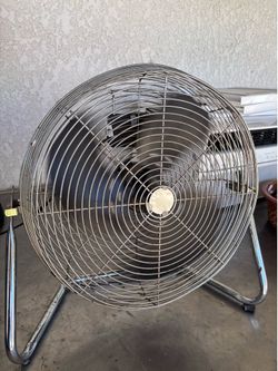 Fans