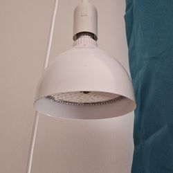 Full Spectrum LED Plant Grow Light w/ Timer – Natural White 🌿