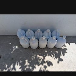 10 Gallons Of Swimming Pool Clorox Brand New $4 A Piece