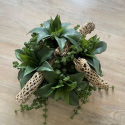 Beautiful Decorative Bowl with Realistic Succulents
