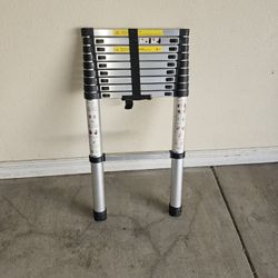 16 foot ladder expandable