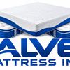 Salvec Trade Group Inc