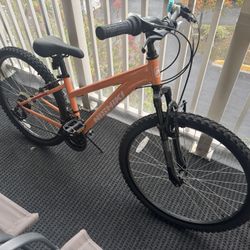 Nishiki Pueblo Women’s Mountain Bike