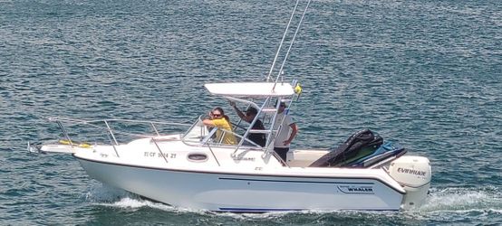 1998 Boston Whaler Conquest 21 Conquest