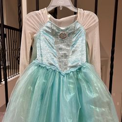 Disney Studio Elsa Dress