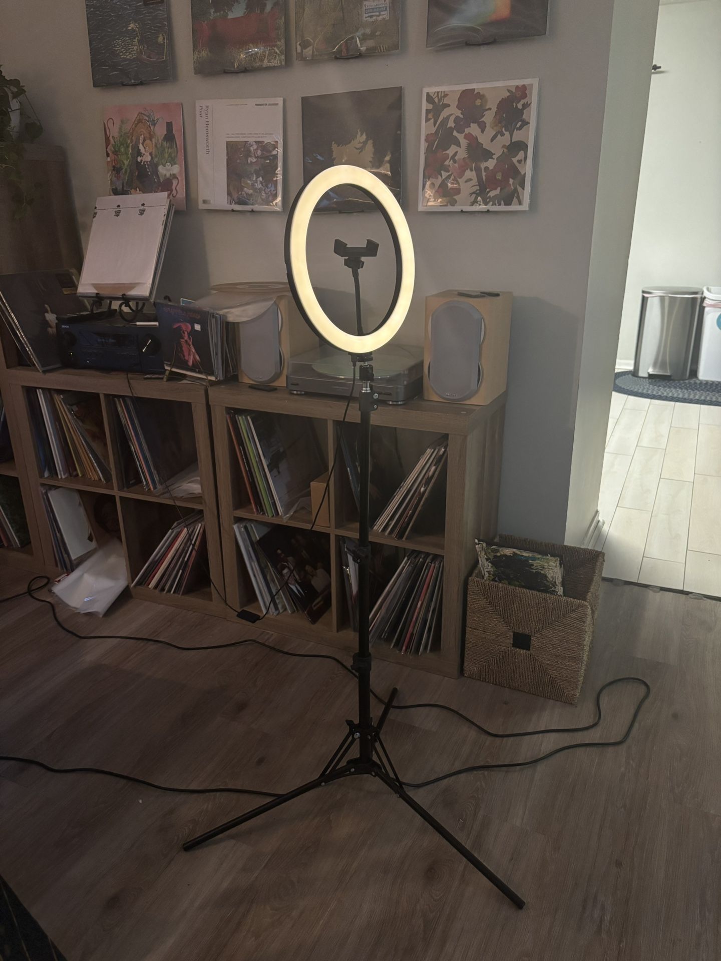 Ring Light