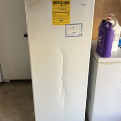 Kenmore Refrigerator & Frigidaire Freezer 