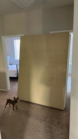 Free queen box spring