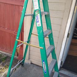 Werner Fiberglass Step Ladder