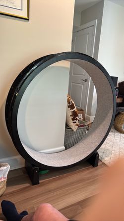 Cat wheel