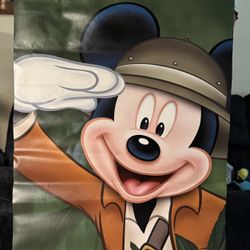 Disneyland Park Hung Banner 