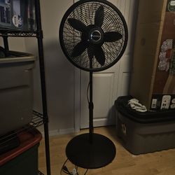 Fan