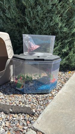 Small Aquarium