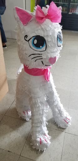 Cat piñata!