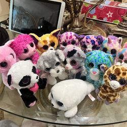 Beanie Boo TY collection! 