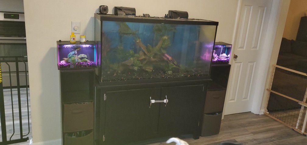60 Gal Fish Tank 