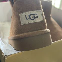 Brand New Uggs 