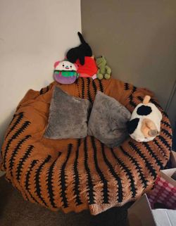 Papasan Chair