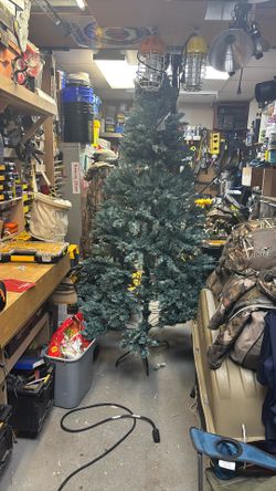 7’ BD C Christmas Tree