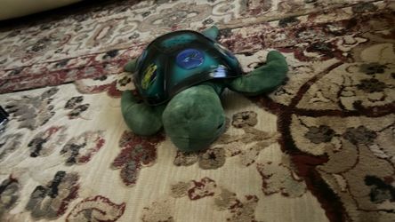 Toy turtle