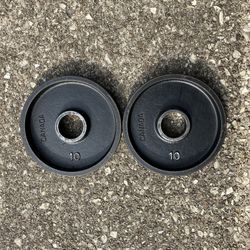 Vintage International Deep Dish Pair 10lb Olympic 2” Weight Plates Weights Plate 10lbs 10 lb lbs DD Set Pounds Pound