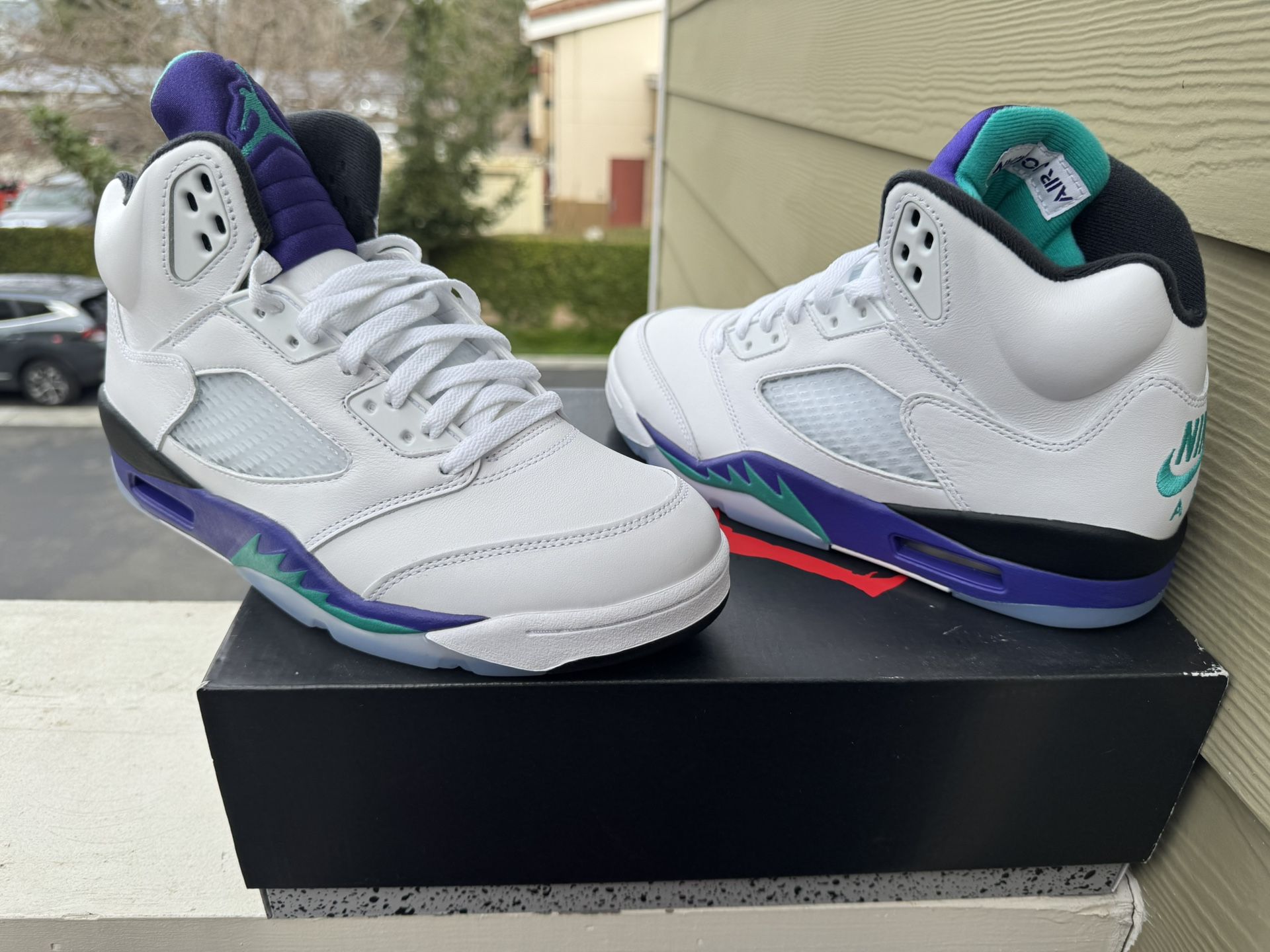 Air Jordan 5 Grape (2025) DS