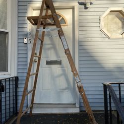 Werner Ladder 7 Ft