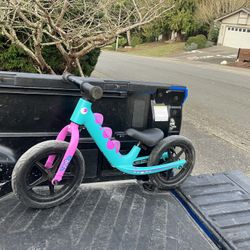 Child Kid Children Balance Bike 12” Wheels Dinosaur Bicycle Tricycle Trike like New