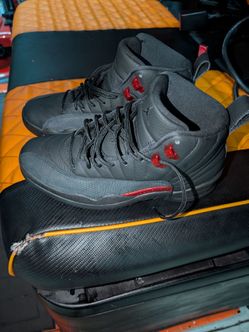 Jordan 12 bloodline