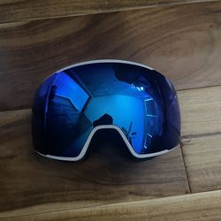 Ski Goggles 