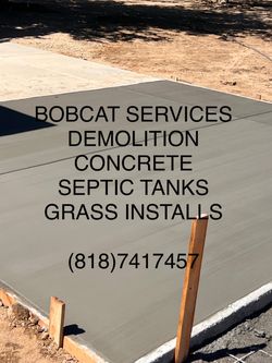 Bobcat