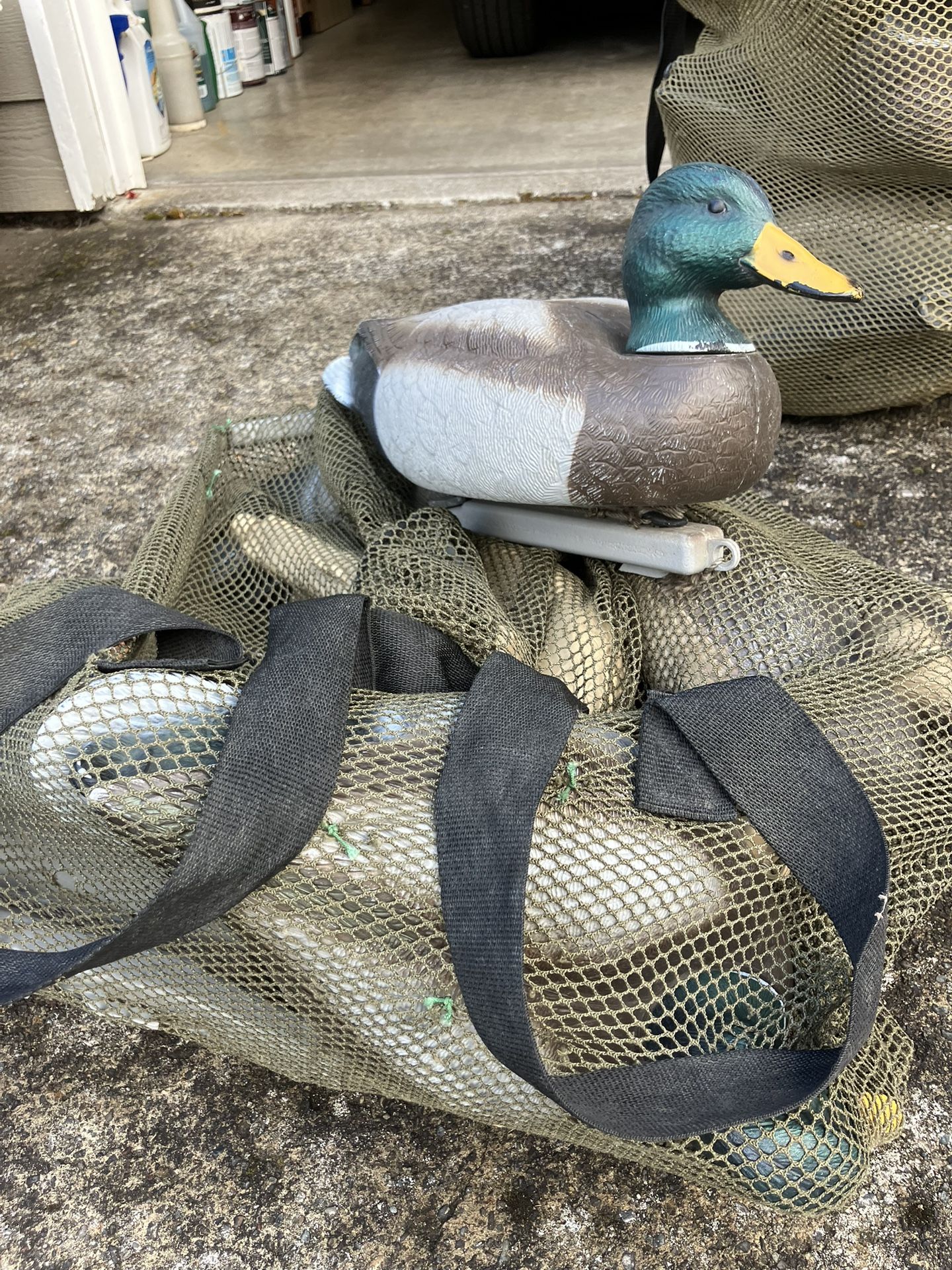 Duck Decoys 