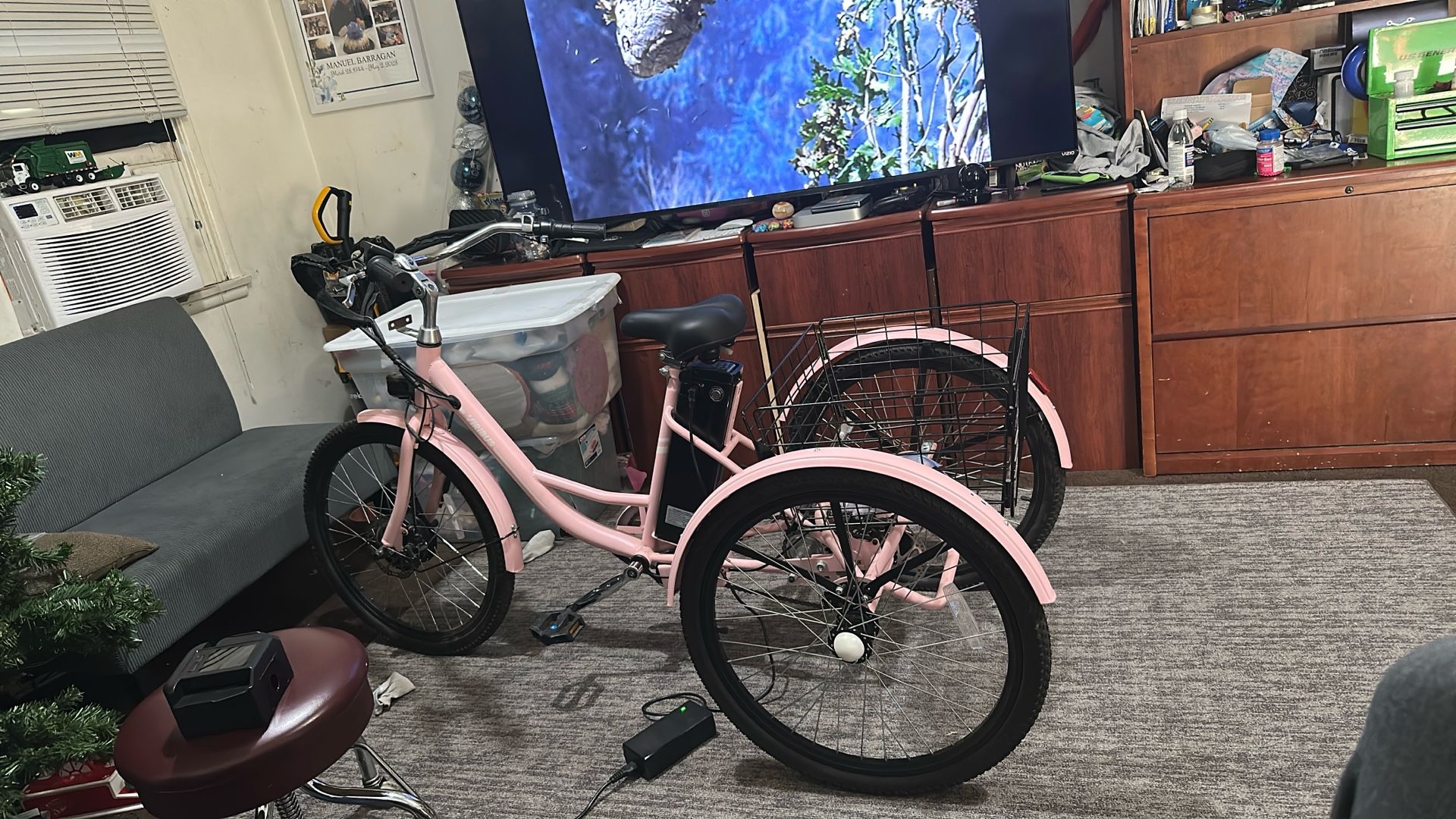 Viribus Electric Tricycle